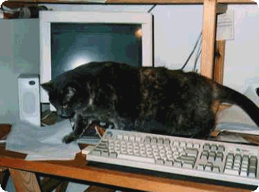 Hacking