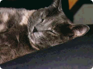 Sleeping